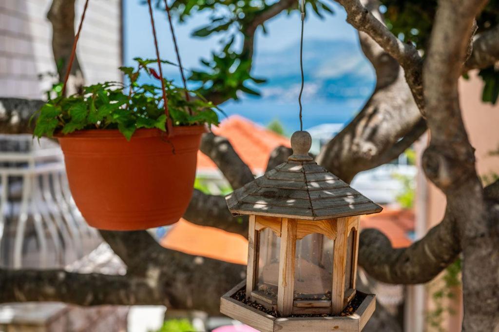 Villa Markoc Cavtat Eksteriør billede